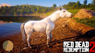 White Arabian Horse Location amp Taming Guide RDR2 [upl. by Mckeon]