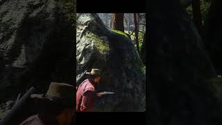 They Tried To Ambush Me In The Forest l Red Dead Redemption 2 arthurmorgan rdr2 [upl. by Ibbetson]