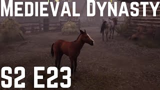 Medieval Dynasty S2 E23  Goatlings Sheep Horses amp Villagers [upl. by Maximo]