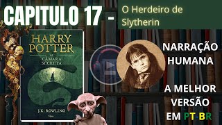 Harry Potter e a Câmara Secreta ⚡ CAPITULO 17 Audiolivro em PTBR [upl. by Felder]