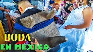 BODA MEXICANA TRADICIONAL QUE NO DEBES DEJAR DE VER [upl. by Semaj]