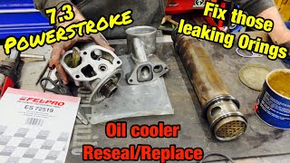 73 Powerstroke oil cooler resealreplace [upl. by Sydney]