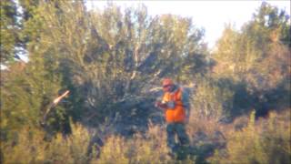 Zachs 2013 Panguitch Lake Late Elk Hunt [upl. by Carlton]