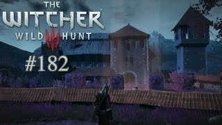 Lets Play The Witcher 3 182 Deutsch Full HD  Die gemalte Welt von Iris [upl. by Ahsinaw]