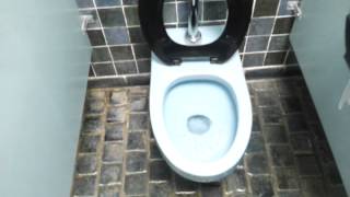 Bathroom Tour BLUE American Standard Toilet Le Chateau Village Frontenac missouri [upl. by Robers56]