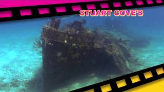 Stuart Coves Dive Bahamas Overview [upl. by Zach401]