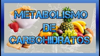 Metabolismo de carbohidratos BIOQUÍMICA [upl. by Cloots757]