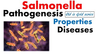 Salmonella typhi microbiology  pathogenesis infection disease treatment [upl. by Dleifxam]