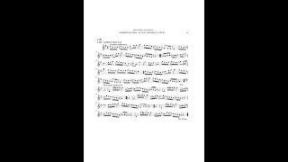 Rameau Tambourins from Les Indes galantes on recorder [upl. by Lladnik197]