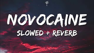 Shiloh Dynasty  Novocaine Lyrics Slowed  Reverb [upl. by Pinkerton831]