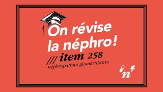 Item 258  Les néphropathies glomérulaires  On révise la néphro 2 [upl. by Aicittel]