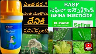 sefina basf  sefeina  insecticide telugu  apidopyrafen  తెల్ల దోమ aphids harshafarming [upl. by Volkan]