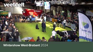 Wintershow WestBrabant 2024 [upl. by Pancho478]