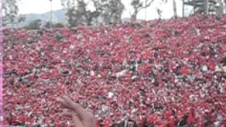 rose bowl 2011 silent jump around [upl. by Anuahsed]