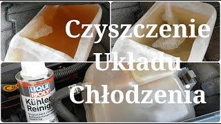 Płukanie układu chłodzenia chłodnicy nagrzewnicy  Płukanka chłodnicy Liqui Moly Radiator Cleaner [upl. by Katzir]