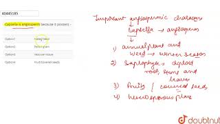 Capsella is angiosperm because it possess [upl. by Lissie]