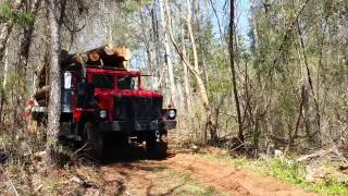 M35a3 off road loggers [upl. by Dawn]