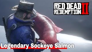 Catching the Legendary Sockeye Salmon  Red Dead Redemption 2 [upl. by Bollinger]