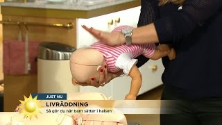 Expert visar Så gör du om ett barn sätter i halsen  Nyhetsmorgon TV4 [upl. by Una]