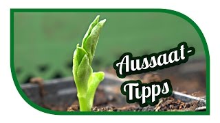 Aussaat amp Gartentipps im März🌱 Jungpflanzenanzucht 🌱 erste Freilandaussaaten [upl. by Onateyac]