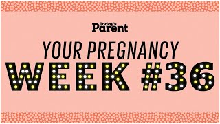 Week 36 of Your Pregnancy Bangla [upl. by Cavan]