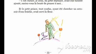 Le Petit Prince  Livre Audio avec texte  Chapitre 8  FR [upl. by Niad]