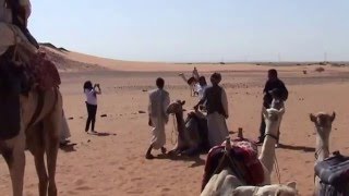 MEROE PYRAMIDS  THE SUDAN [upl. by Lessur975]