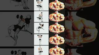 Full body workout at Home No Equipment Neededgym motivation sixabsworkout shoulder [upl. by Ris665]