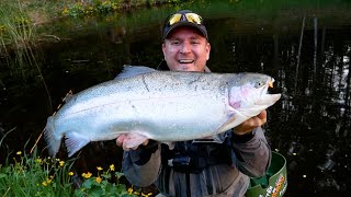 STOR Fisk på Fætterfluen og Klasse 2  Sommerfiskeri På Berget [upl. by Ammann]