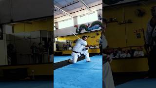 HAPKIDO  BASTÃO DE AÇO [upl. by Lynn]