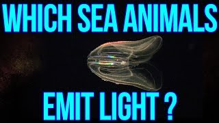 Which Sea Animals Emit Light  Plants Facts amp Animals Facts  Seriously True [upl. by Onivag]