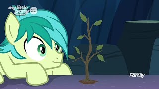 Sandbar planted a New Tree of Harmony  MY little Pony FIM Season 9 episode  3 Uprooted [upl. by Egbert]