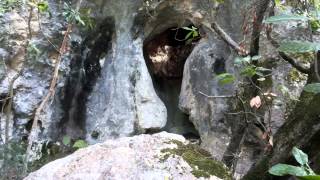 Grotta delle Monache  Paterno di Fabriano AN [upl. by Schouten]