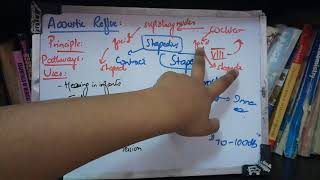 ACOUSTIC REFLEX or STAPEDIAL REFLEX a part of IMPEDANCE AUDIOMETRY important seq made easy [upl. by Ettebab543]