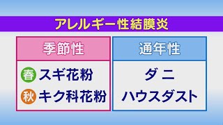 いわて元気○（マル） 【アレルギー性結膜炎 新たな傾向も】（2022420放送 ニュースプラス１いわて） [upl. by Euqinay]