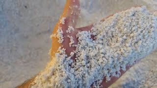 What is Perlite and How to use this Soil Amendment to Improve your Garden [upl. by Atiuqad]