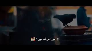 Janam Fida e haideri whatsapp status  Hazrat Ali whatsapp status [upl. by Freyah]