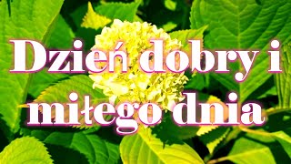 🌞Miłego dnia Ci życzę💖Dzień Dobry Miłego Poranku💖Miłego Radosnego Dnia💖Życzenia na dzień dobry [upl. by Nnyleve]