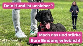 So stärkst Du als Hundehalter die Bindung zu Deinem Hund [upl. by Annnora]