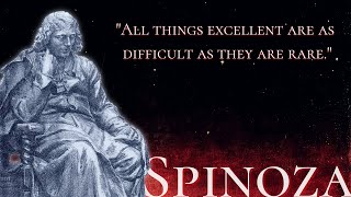 Spinoza  Why We Suffer and What We Can Do About It [upl. by Nievelt247]