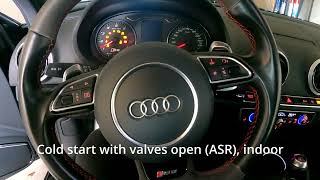 2016 Audi RS3 VFL 367 HP Stock Exhaust  Cold Start at winter Startup amp Sound  Valves Open ASR [upl. by Dnalerb]