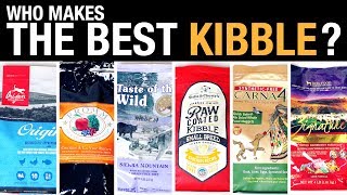 The Pet Food Kibble Review [upl. by Menken]