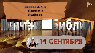 План чтения Библии  14 сентября 2023 года [upl. by Eniarol]