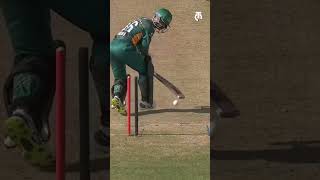 Beeks Bowling Attack  VK vs SJ  Match HL  Watch GT20 2024 on Tamasha [upl. by Gibbie595]