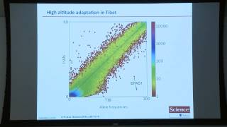 MPG Primer Population Genetics 2015 [upl. by Even]