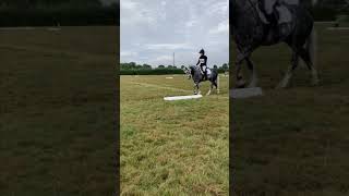 Dressage equestrian eventing edits [upl. by Egres]