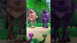 TRex chase dinosaurviralvideo shortvideo dinosaur jurassicworld [upl. by Ardnahsal614]