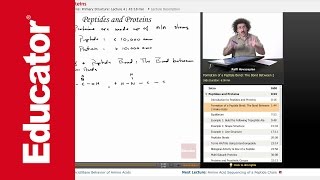 Peptides and Proteins  Biochemistry Tutorial [upl. by Staford]