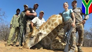 Girl hunter loves killing African animals 12yearold Aryanna Gourdin hated by internet  TomoNews [upl. by Aliuqet669]