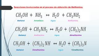 PRODUCCIÓN DE METILAMINAS MONO DI Y TRI [upl. by Limaa447]